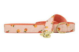 Carolina Peach Dog Leash