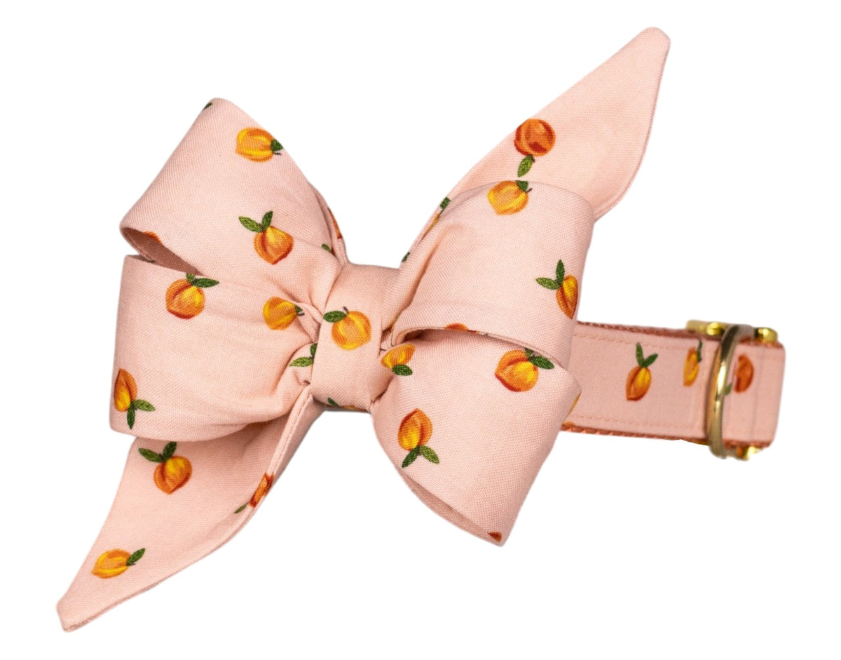 Carolina Peach Belle Bow Collar