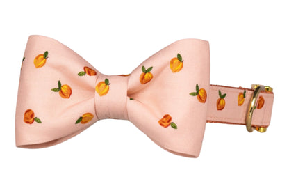 Carolina Peach Bow Tie Collar