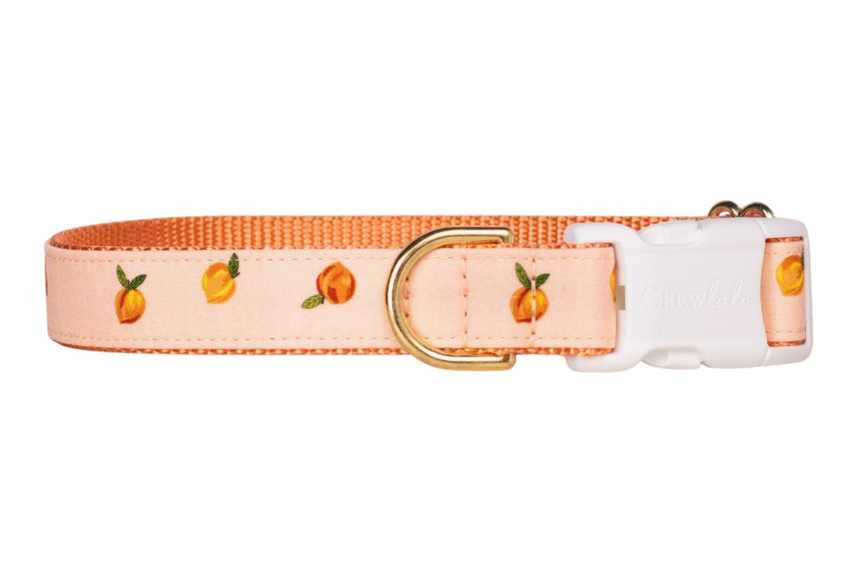 Carolina Peach Dog Collar