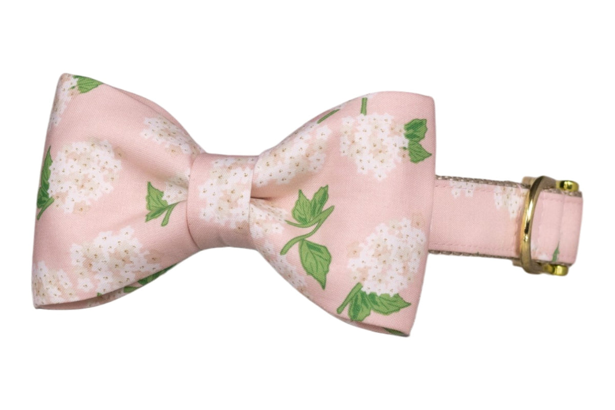 Pink Hydrangeas Bow Tie Collar