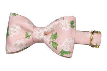 Pink Hydrangeas Bow Tie Collar