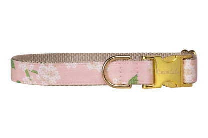 Pink Hydrangeas Dog Collar