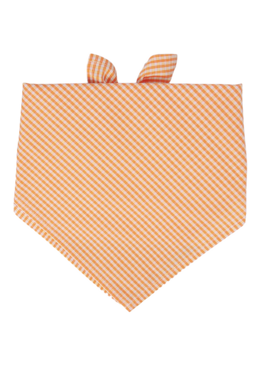 Sunny Gingham Dog Bandana - Crew LaLa