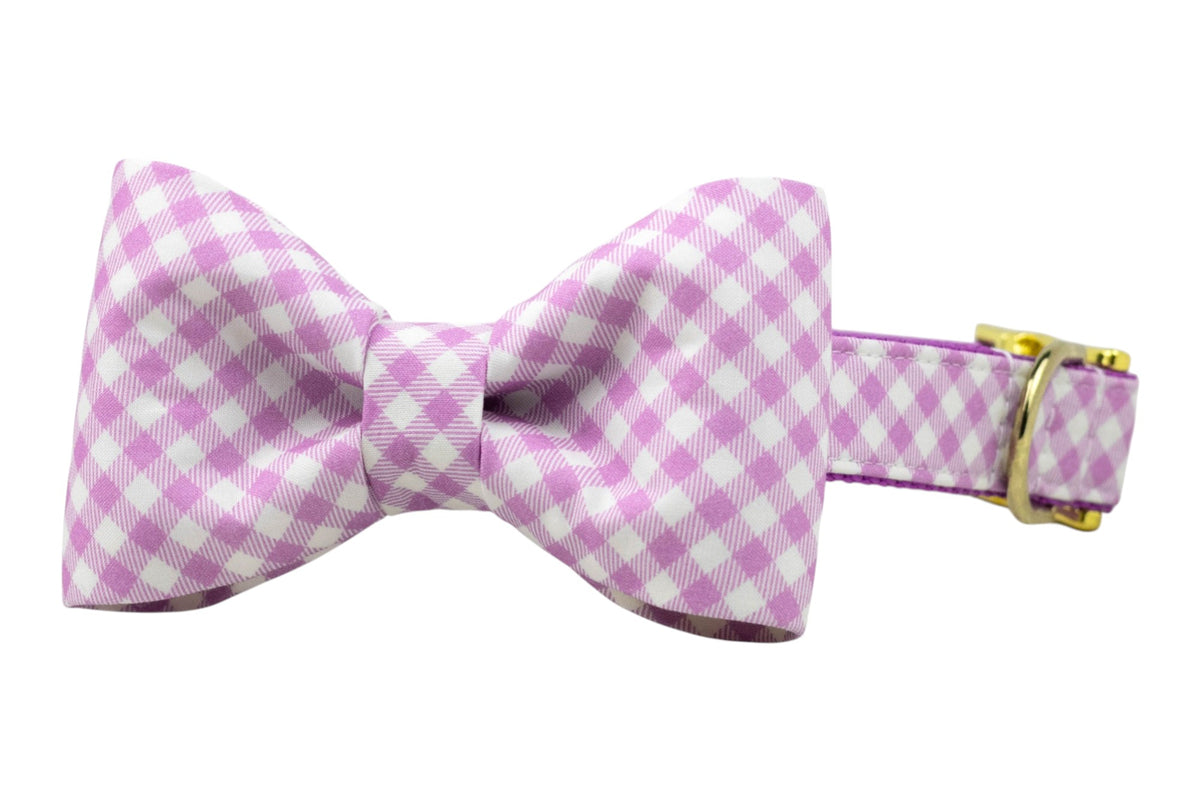 Violet Gingham Bow Tie Dog Collar