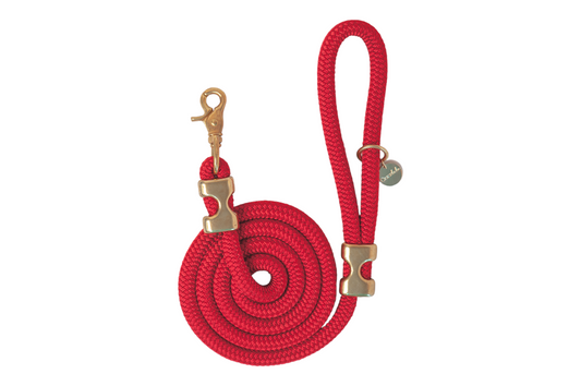 5 ft Red Rope Dog Leash