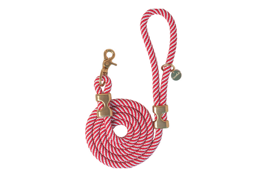 5 ft Red Stripe Rope Dog Leash