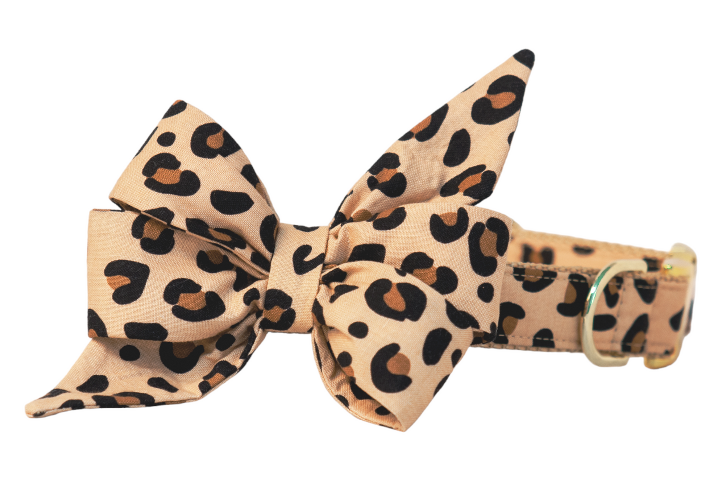 Party Animal Belle Bow Dog Collar - Two Styles! - Crew LaLa