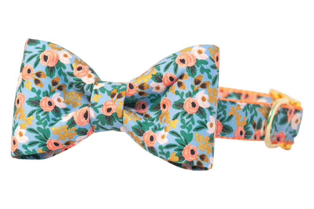 Kensington Gardens Bow Tie Dog Collar