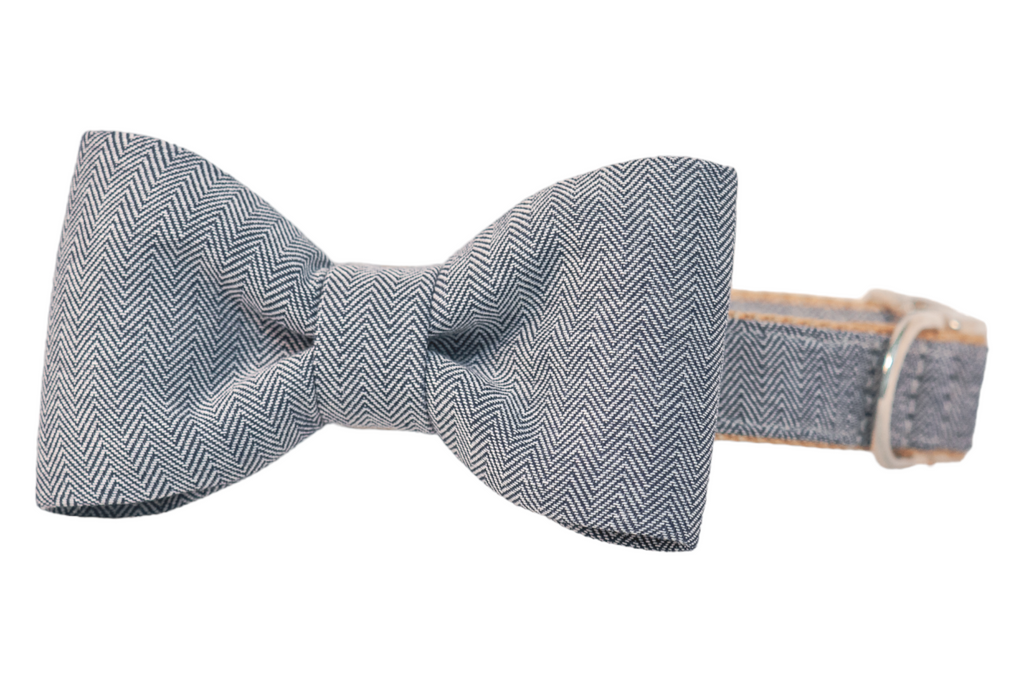 Navy Twill Bow Tie Dog Collar