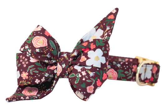 Bordeaux Blooms Belle Bow Dog Collar - Crew LaLa