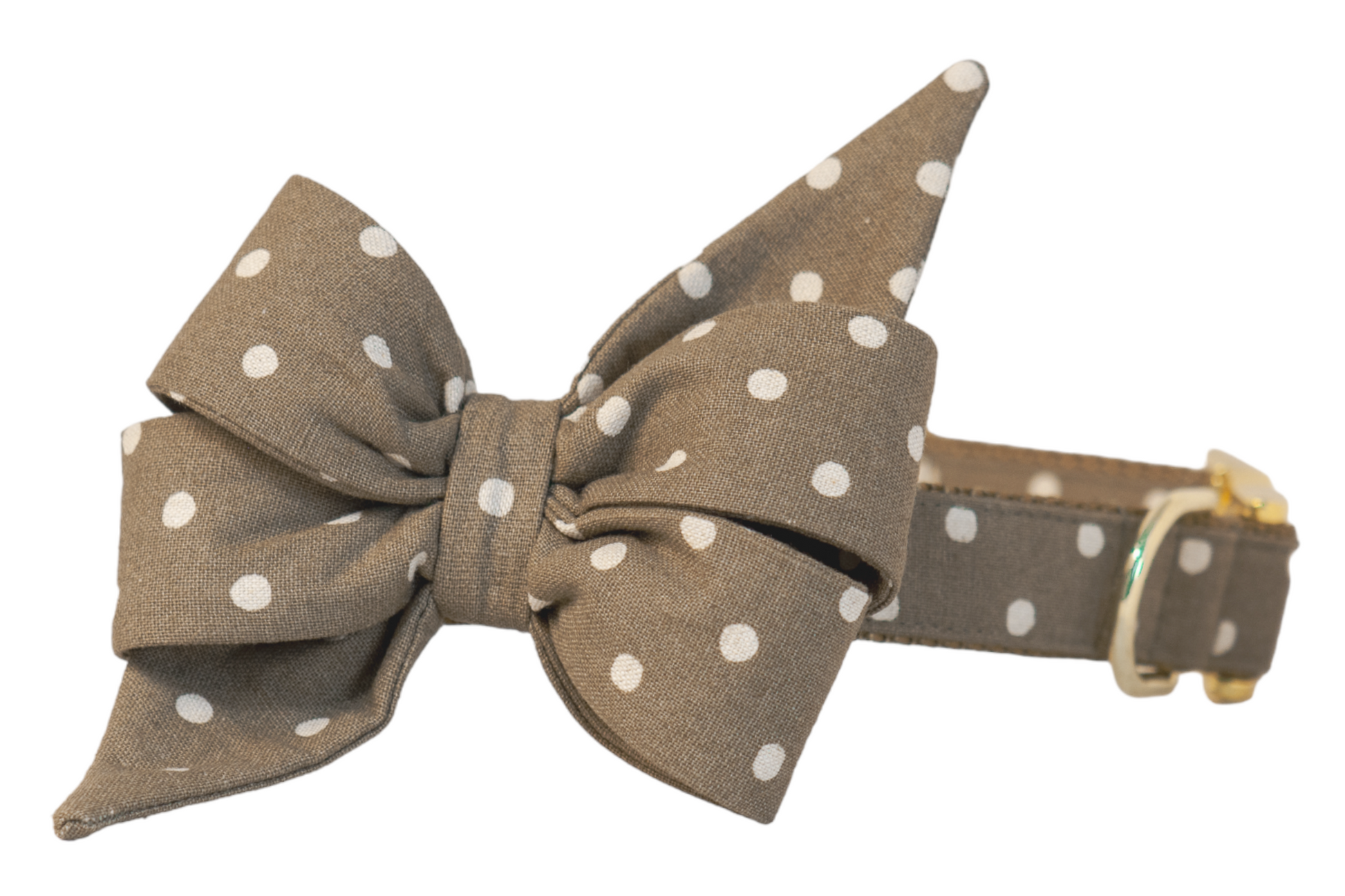 Ivory Dot on Olive Belle Bow Dog Collar - Crew LaLa
