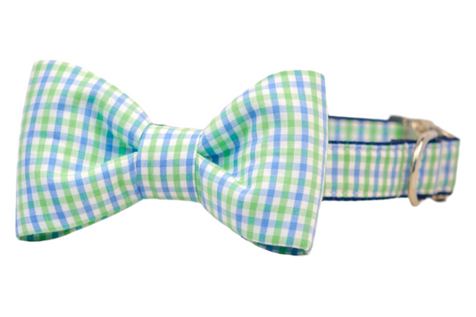 Lime & Blue Island Gingham Bow Tie Dog Collar - Crew LaLa