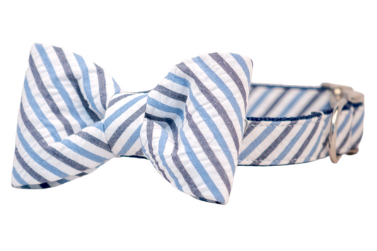 Blue & Navy Seersucker Bow Tie Dog Collar