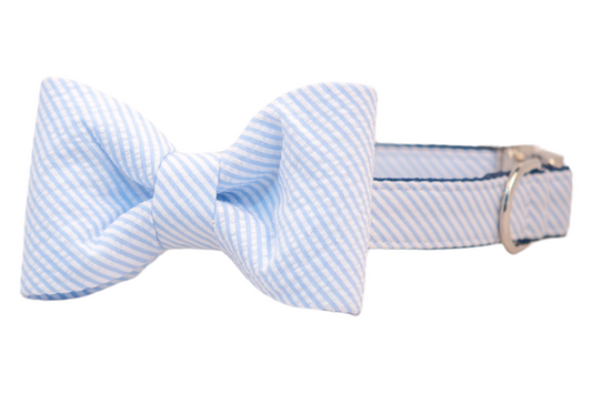Light Blue Seersucker Bow Tie Dog Collar - Crew LaLa
