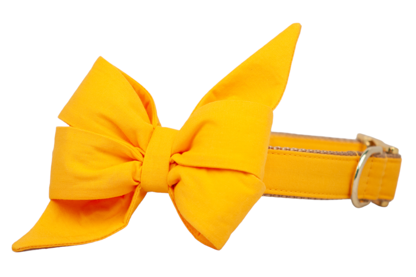 Golden Yellow Belle Bow Dog Collar