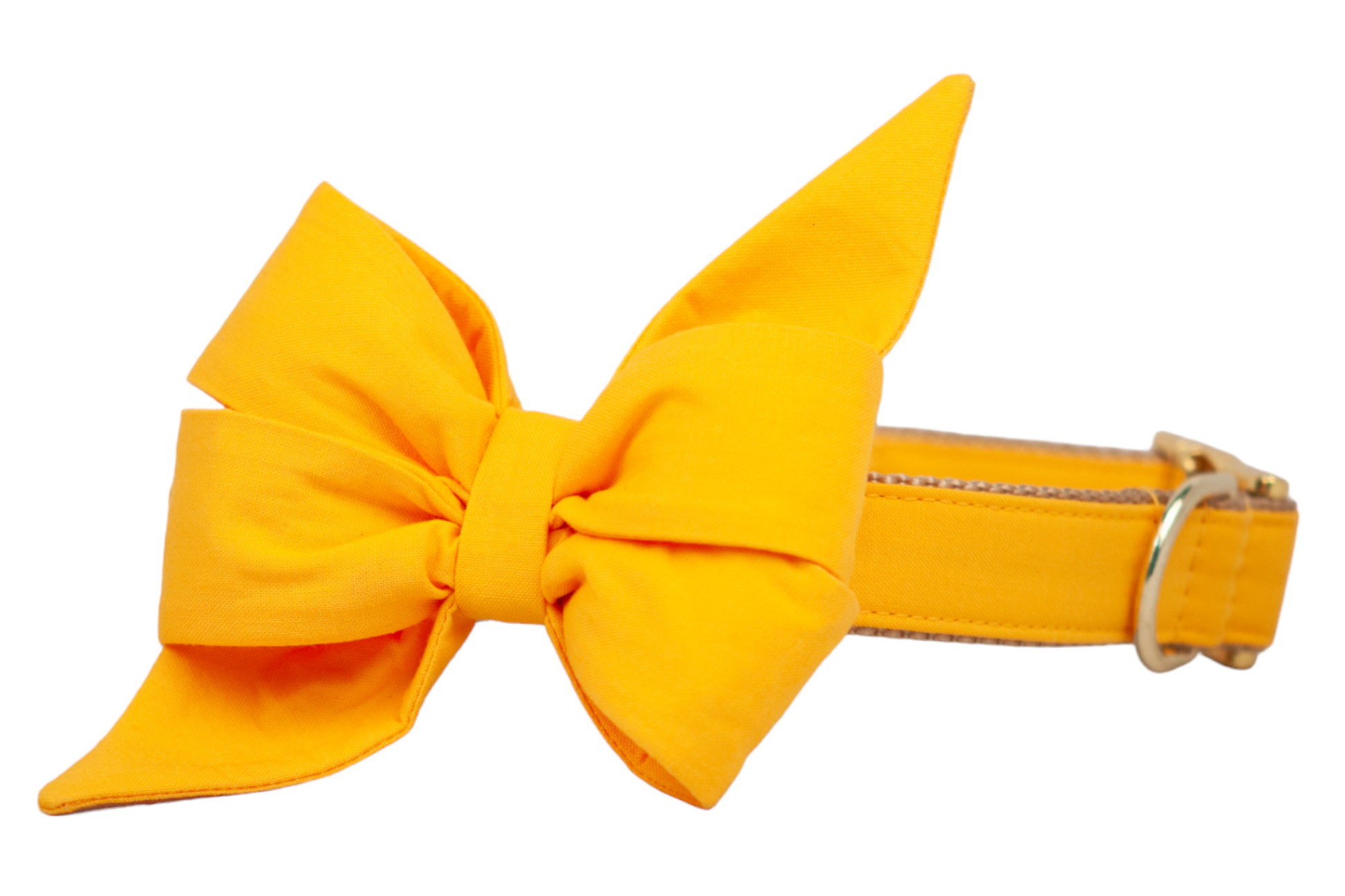 Golden Yellow Belle Bow Dog Collar - Crew LaLa