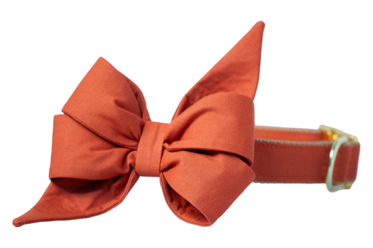 Burnt Orange Belle Bow Dog Collar