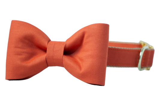 Burnt Orange Bow Tie Dog Collar