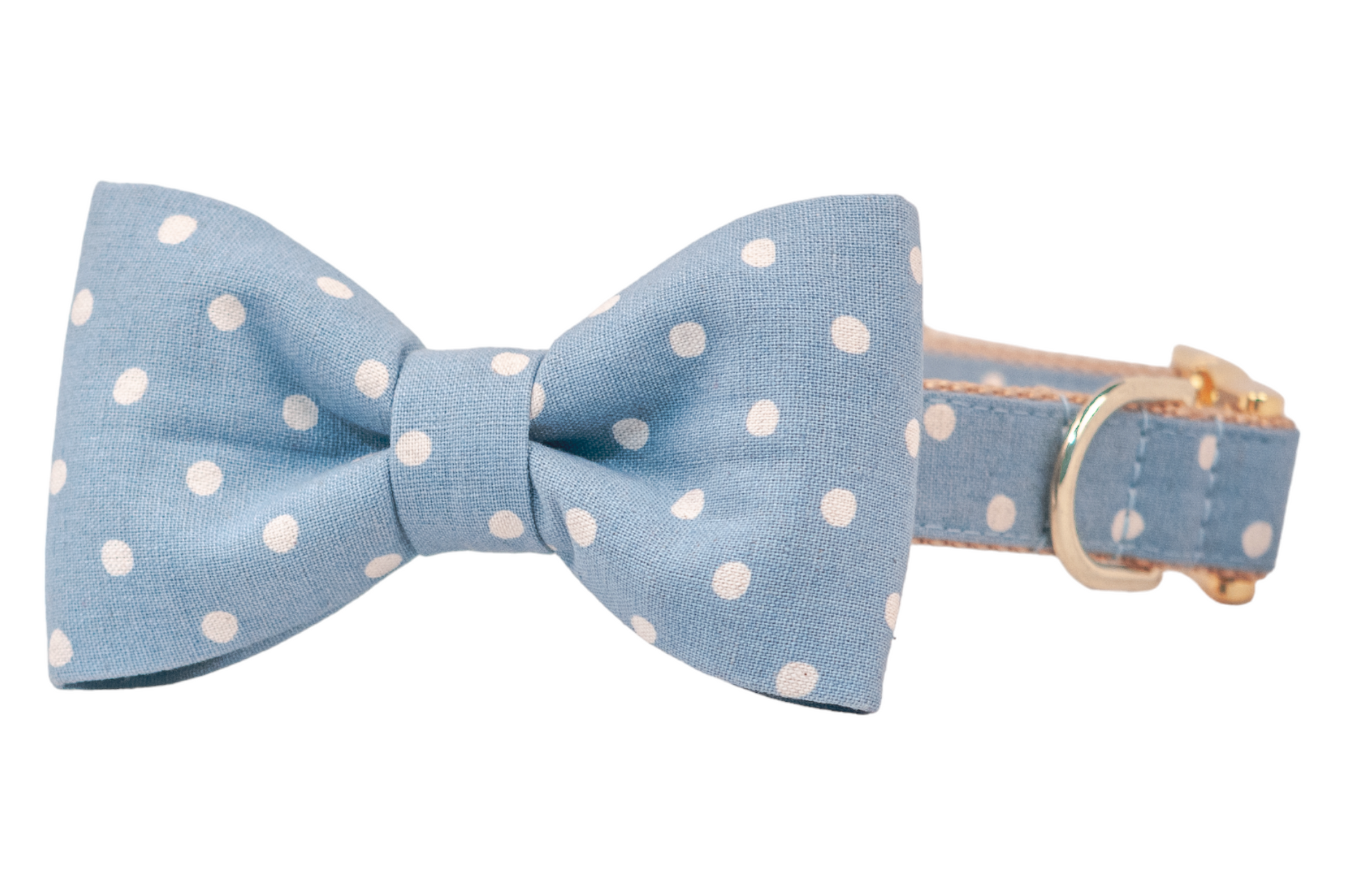 Ivory Dot on Dusty Blue Bow Tie Dog Collar - Crew LaLa