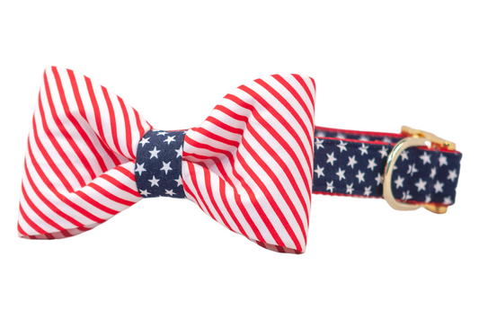 'Merica Bow Tie Dog Collar - Crew LaLa