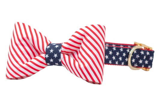 'Merica Bow Tie Dog Collar