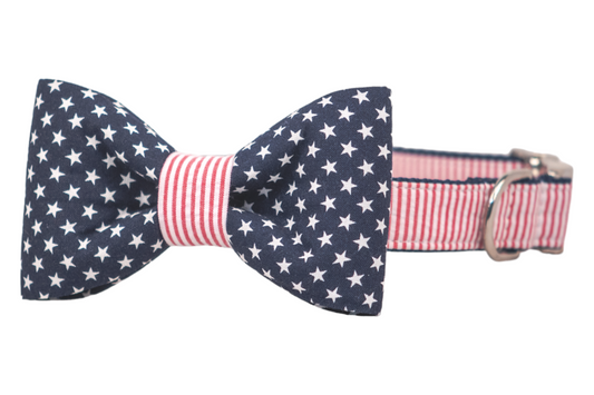 Patriot Bow Tie Dog Collar