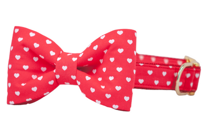 Happy Hearts Bow Tie Dog Collar - Crew LaLa