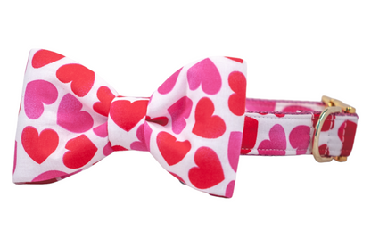 Tinder Hearts Bow Tie Dog Collar - Crew LaLa