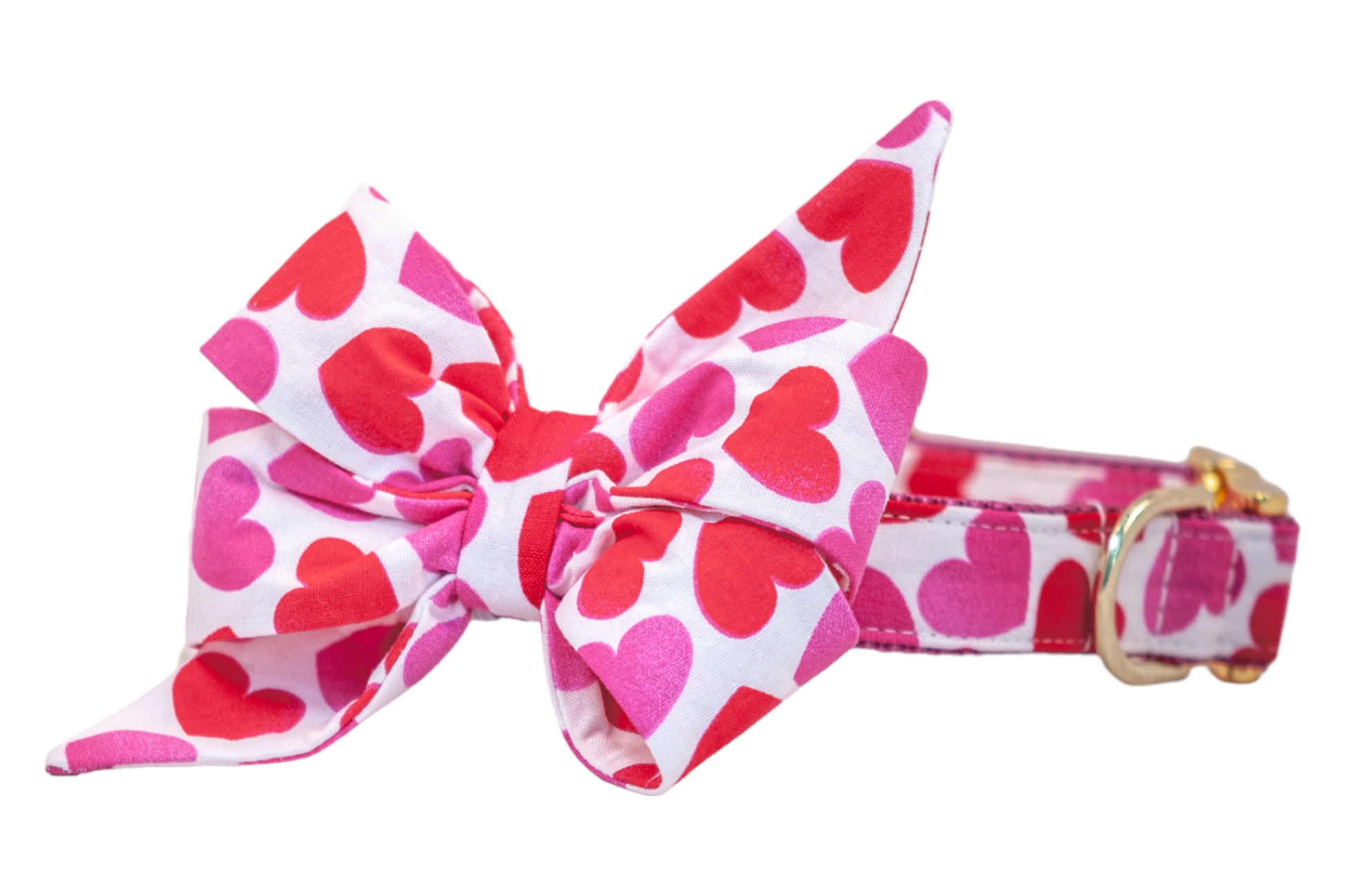 Tinder Hearts Belle Bow Dog Collar - Crew LaLa