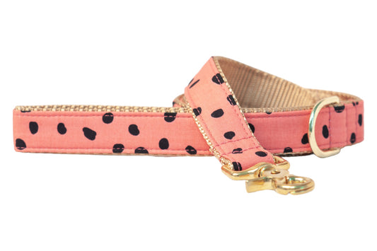 Rosy Pebbles Matching Leash - Crew LaLa