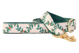 Rosy Vines Dog Leash