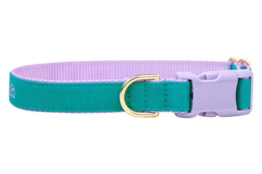 "Ruff-N-Tuff" Teal Dog Collar - Four Styles! - Crew LaLa