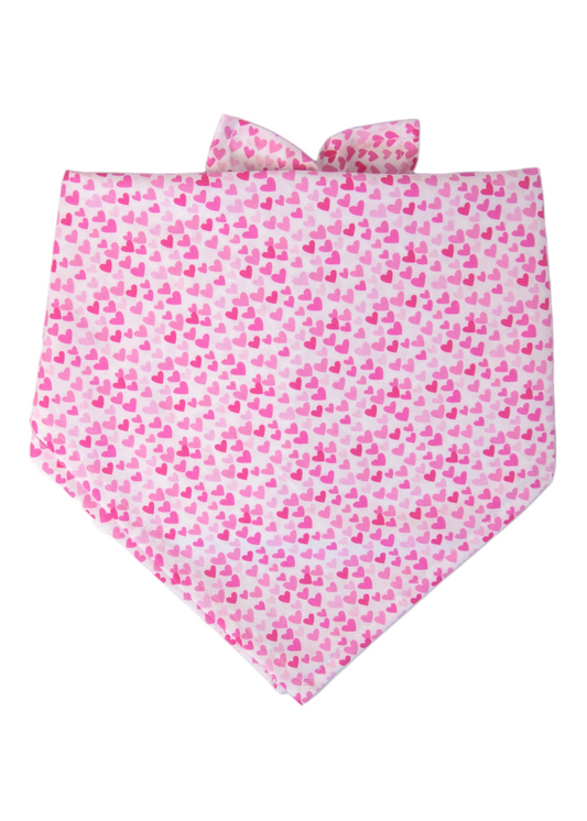 Pink Hearts Dog Bandana - Crew LaLa