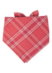 SALE BANDANA - Mount Rose