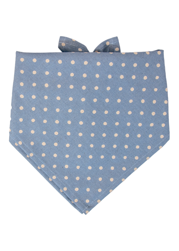 Ivory Dot on Dusty Blue Canvas Dog Bandana