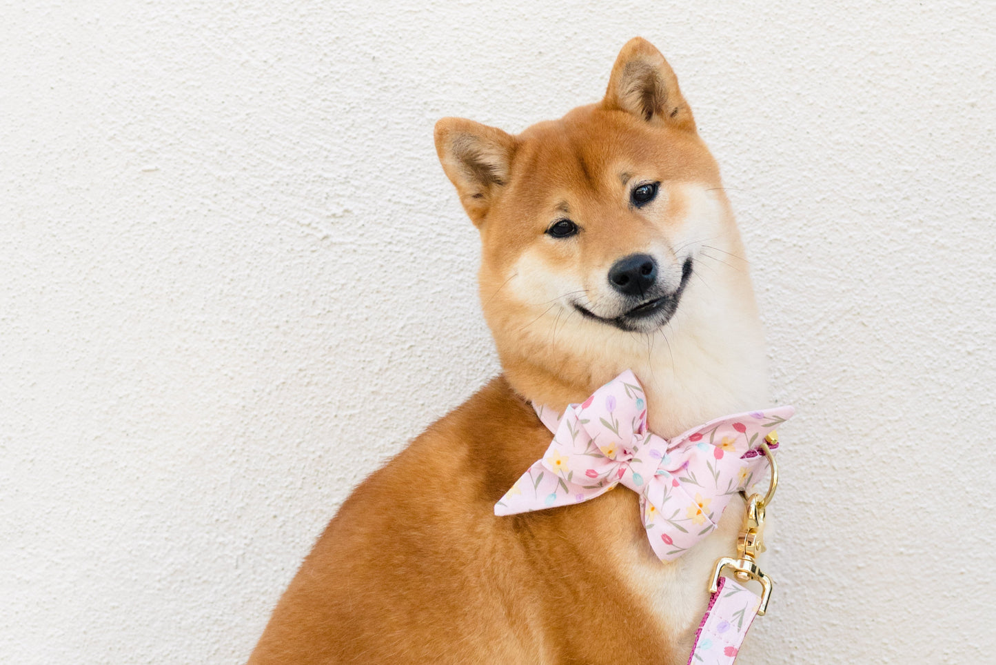 Rosy Tulips Belle Bow Dog Collar