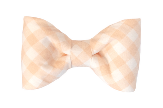 Sandy Check Bow Tie - Crew LaLa