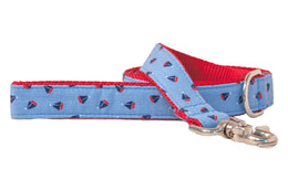 Set Sail Dog Leash
