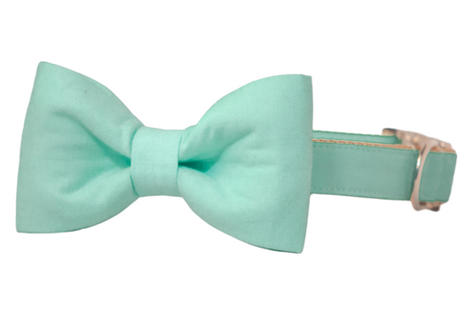 Mint Bow Tie Dog Collar - Crew LaLa