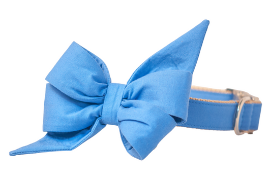 Copen Blue Belle Bow Dog Collar - Crew LaLa