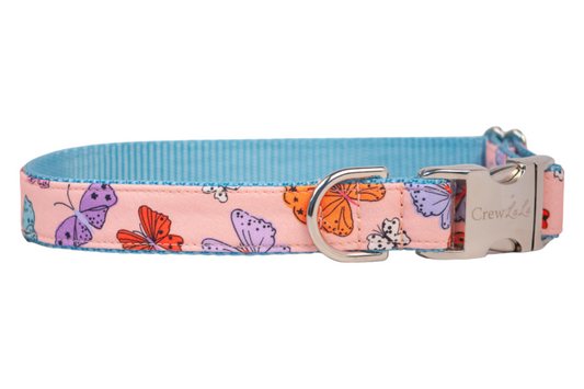 Bright Butterflies Dog Collar on Blue - Crew LaLa