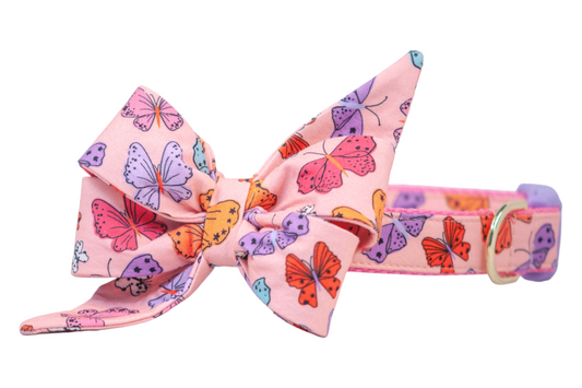 Bright Butterflies Belle Bow Dog Collar - Crew LaLa