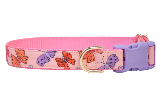 Bright Butterflies Dog Collar on Pink - Crew LaLa