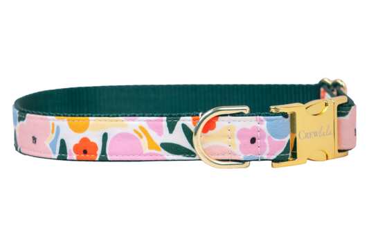 Mosaic Blooms Dog Collar - Crew LaLa
