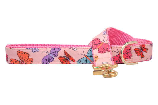 Bright Butterflies Dog Leash on Pink - Crew LaLa