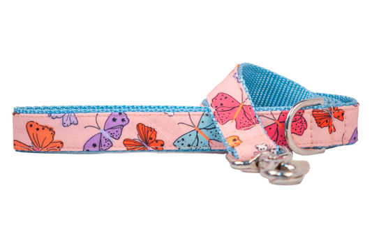 Bright Butterflies Dog Leash on Blue - Crew LaLa