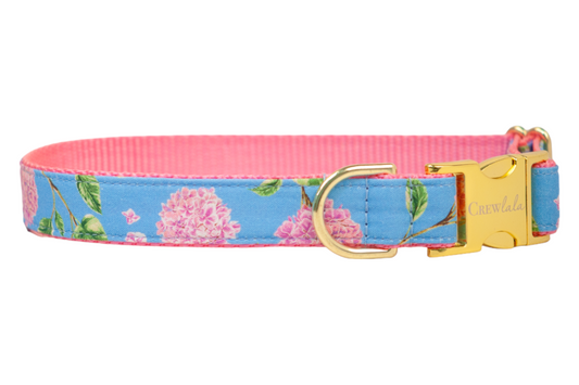 Pink Blooms Dog Collar - Crew LaLa