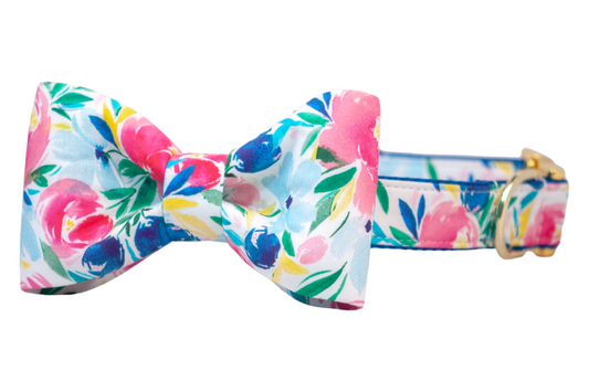 Floral Gallery Bow Tie Dog Collar - Crew LaLa