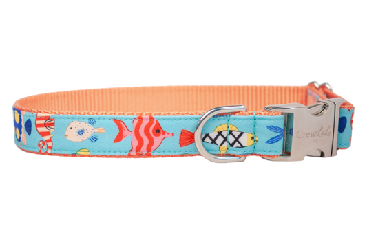 The Reef Dog Collar - Crew LaLa